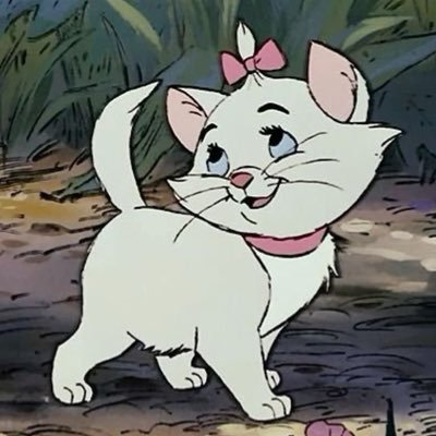 ca4mii1's profile picture. 🐈