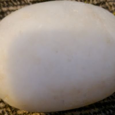 alihade1552460's profile picture. 