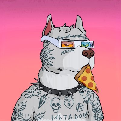 NinaAuer559026's profile picture. Crypto trader by day 📊 | NFT hunter by night