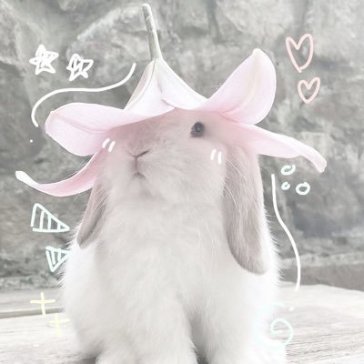 NyxenLovelys's profile picture. ♡ 𝟷𝟽 DM's open °ʚ🎀ɞ° Send stuff on my Straw! ♡🫶 Not going to recover soon ❤️‍🩹 TW: I post uncensored sh