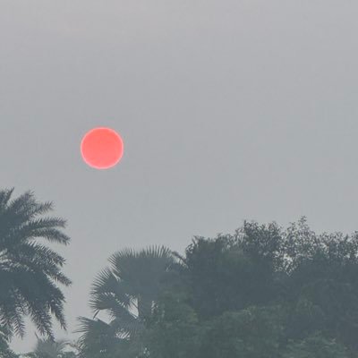 sandipjhahbr's profile picture. मैंने समुन्दर से सीखा है जीने का सलीका

चुपचाप से बहना और अपनी मौज में रहना