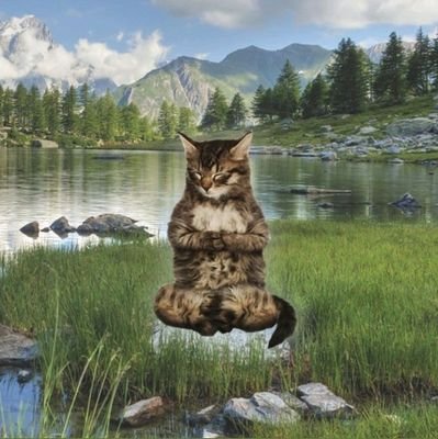 gaelsaccount's profile picture. machine