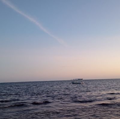 MysteriusKenyan's profile picture. Journalist, @capitalfmkenya “If we could read the secret history of our enemies, we should find in each enough sorrow and suffering to disarm all hostility.”