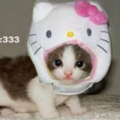 berry_kitty33's profile picture. shedtwt drugtwt