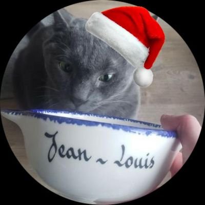 arcaleshiny's profile picture. folle aux chats et aux lézards, je follow les animaux de twitter. 
🧬🪐🌱🎮✨