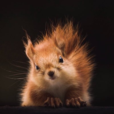 CaglarGuzelMD's profile picture. 