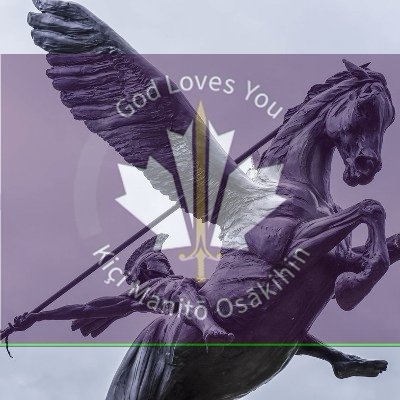 PegasusWarrior7's profile picture. 