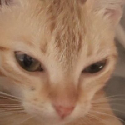 yhtkdemi's profile picture. 