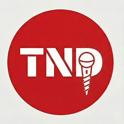 thenewsdrill's profile picture. 