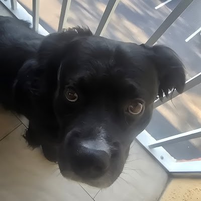 PatchesPyl70038's profile picture. 