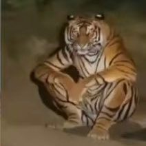 ismailk71766506's profile picture. 