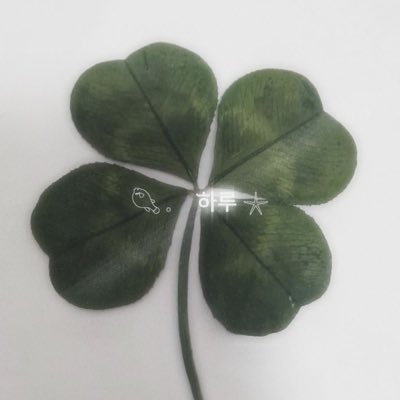 mqonting's profile picture. — 💭*! DEK 68 (+1) | goal : pharmacy @ TU ( 🩺* ) — radiological @ NU ( 🩻* ) ⠀ ⠀ ⠀ ⠀ ⠀ ⠀ ⠀ ⠀ ⠀ ⠀ ⠀ ⠀ ⠀ ⠀ ⠀ ⠀ ⠀ ⠀ ⠀ ⠀ ⠀ ⠀ ⠀ ⠀ ⠀ ⠀ ⠀ ⠀ ⠀ ⠀ ⠀ ⠀ ⠀ ⠀ ⠀