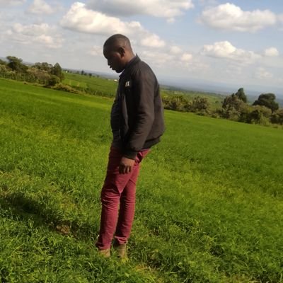 KantaiDouglas's profile picture. money maker!