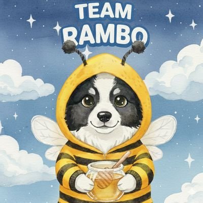 missmielosa's profile picture. ✨️°✩༉‧ |𝘵𝘦𝘮𝘱𝘰𝘳𝘢𝘥𝘢 𝘥𝘦 𝘧𝘢𝘯𝘨𝘪𝘳𝘭𝘦𝘢𝘳|˚⋆༉‧₊˚˙ֶֶֶָָָ֢֢֢｡✨️