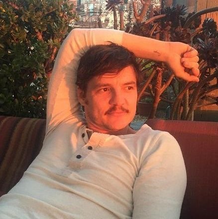 noitspascal's profile picture. #𝖯𝖤𝖣𝖱𝖮𝖯𝖠𝖲𝖢𝖠𝖫: 𝗂𝖿 𝗍𝗁𝖾𝗒 𝖺𝗂𝗇'𝗍 𝖼𝗈𝗈𝗄𝗂𝗇𝗀 𝗒𝗈𝗎, 𝗍𝗁𝖾𝗒 𝖺𝗂𝗇'𝗍 𝖻𝗈𝗈𝗄𝗂𝗇𝗀 𝗒𝗈𝗎, 𝖻𝖺𝖻𝗒. ~ taylor, sab and pedro stan.