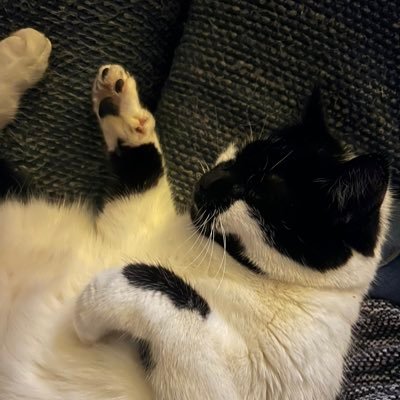 KatyMowat's profile picture. 