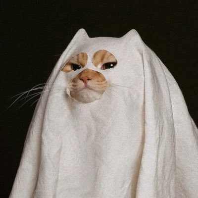 Jim_Hacker_yes's profile picture. alt of alt acc