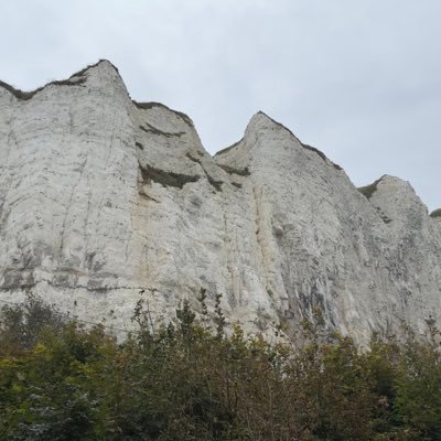 cinemaniak98's profile picture. 