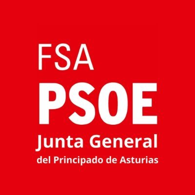 Grupo Parlamentario Socialista Asturias Profile