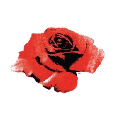 kaumhornian's profile picture. This is @kaumsangean ‘s backup. Enjoy!