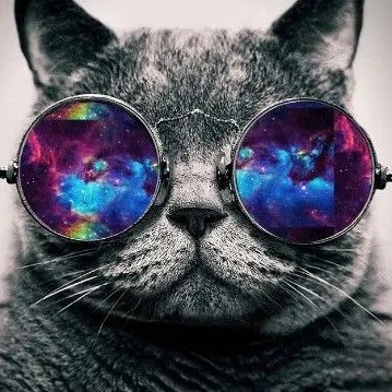 Ellybobs42's profile picture. 