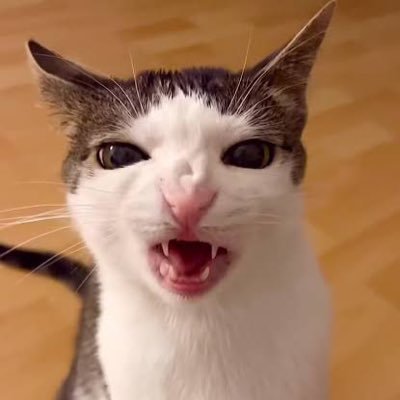 scarswonderlan's profile picture. 23 yo :)