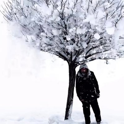 prstml_'s profile picture. Nerdesin Firuze?