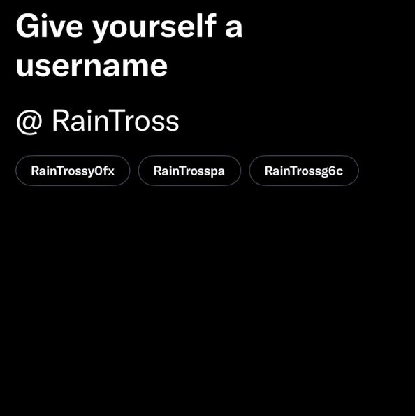 RainTross's profile picture. 