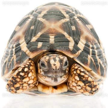 qbeuqr's profile picture. 