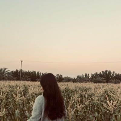 lujainyalh's profile picture. 