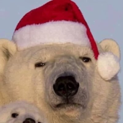 limoncello003's profile picture. 