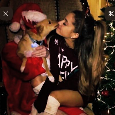 livsprotector's profile picture. 19 // that one oomf who don’t play about doomed ships // tsitp hater