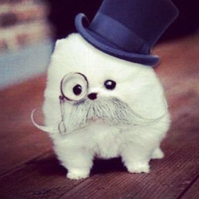 tomlinsuee's profile picture. 