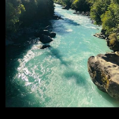 Mjay1365119's profile picture. 