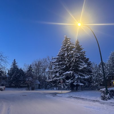 JingyaoLi_'s profile picture. 