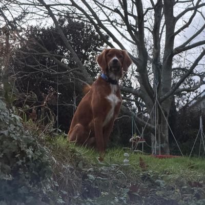 eliz4davidson's profile picture. 