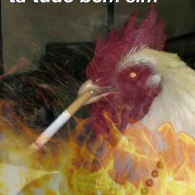 o rebranding veio aí Profile