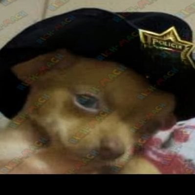 colocho1542258's profile picture. 
