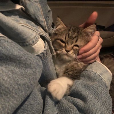 8x3_s's profile picture. 𝘚𝘸𝘦𝘦𝘵 𝘢𝘴 𝘩𝘰𝘯𝘦𝘺.