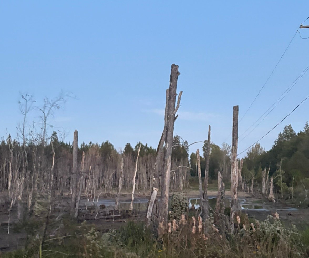 FrankJacobl8kr's profile picture. 