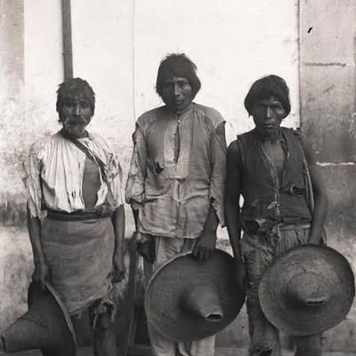 BRUNALDO61's profile picture. Arriba y adelante; la solución somos todos; bienestar de la familia; te lo firmo y te lo cumplo, llegamos todas