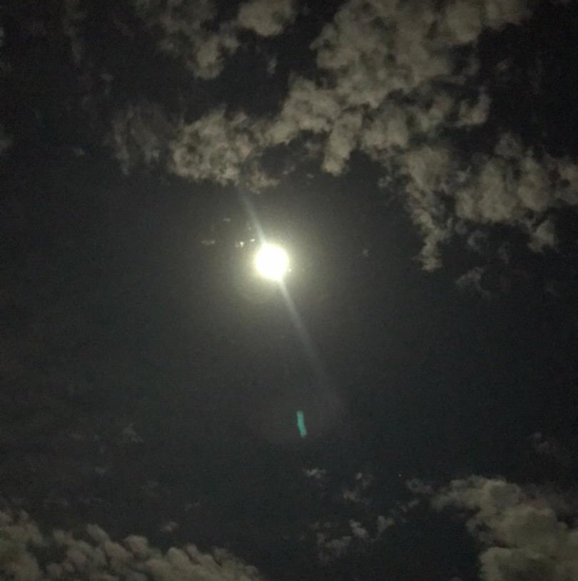 Unknowrmfn's profile picture. 