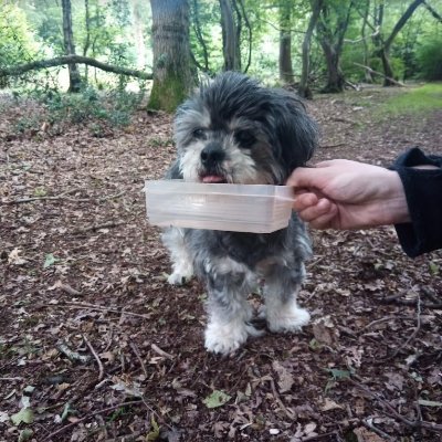 bookpagemaster's profile picture. Antiquarian, numismatist, collector of rare books and VHS.