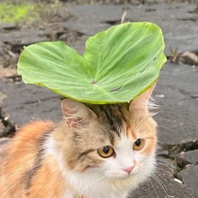 _willbeviolet_'s profile picture. 