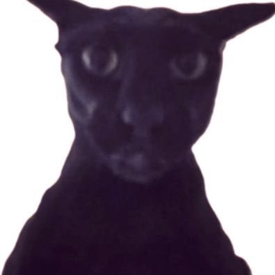 VenusValora's profile picture. Hiii I'm Venus a demon moth Vtuber! 💡🦋 Model 🎨: @Mio_ch_💚 Rigging by: @DrakeLive2d 💚 #venumothart