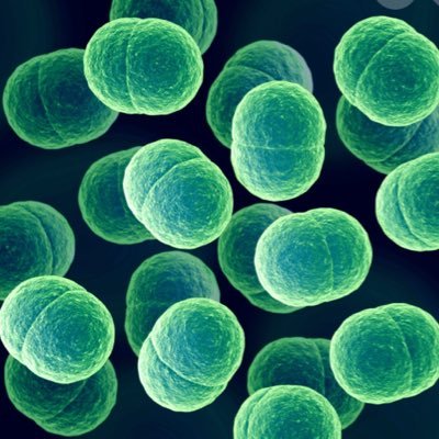 Farr426's profile picture. l speak football only⚽️..RealMadrid &France