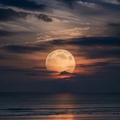 aspirant_murid's profile picture. Murid ✨️ • Founder of @raffetart 🪄