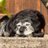 Quijada096's profile image