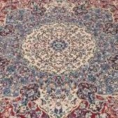 peep55549484's profile picture. 