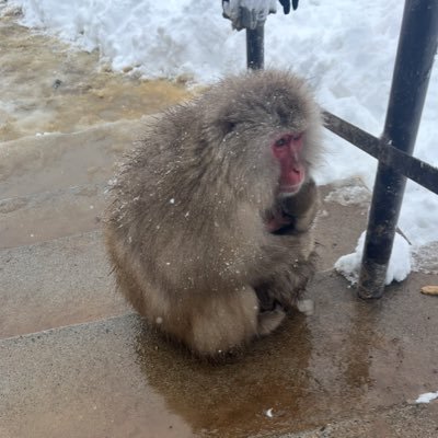 a_sorenspeaks's profile picture. I write about Integrity Dynamics: why institutions ignore warning signs, suppress reality, and collapse, and why so few see it coming.